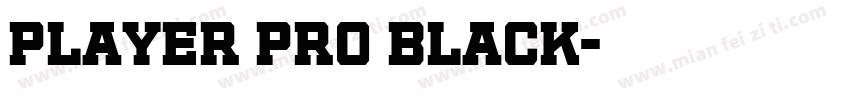 Player Pro Black字体转换